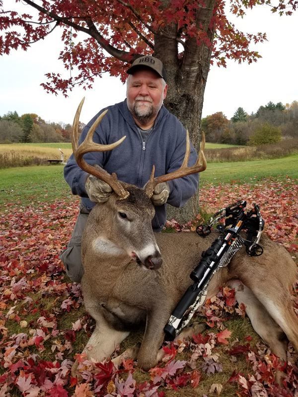 Clements buck
